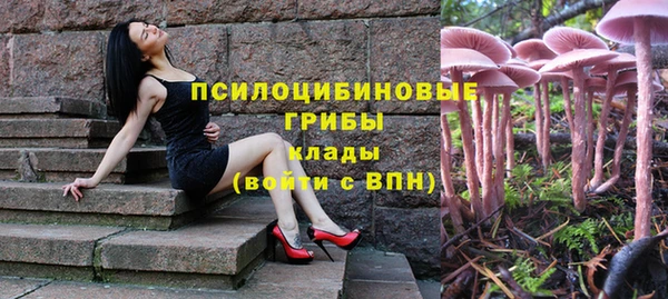 ALPHA PVP Богородск